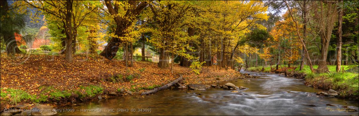 Peter Bellingham Photography Harrietville - VIC (PBH3 00 34309)